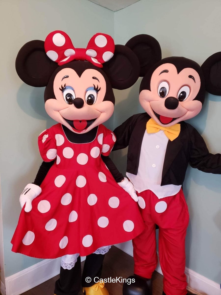 Mickey Costume Best Party Rentals and Inflatables service in Ontario